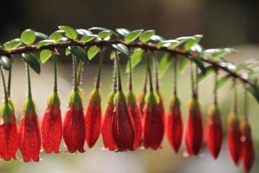 金华零用贷短借：轻松解决临时资金需求