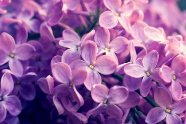 金华企业急用钱贷款攻略：快速融资解燃眉之急